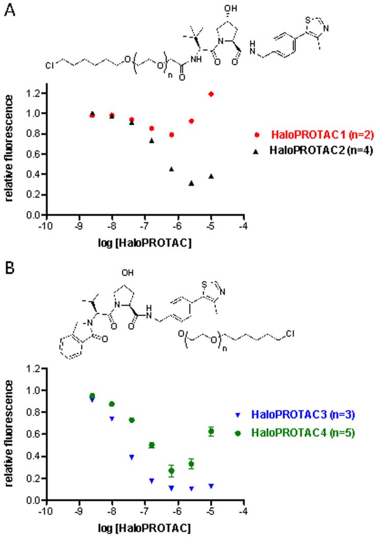 Protein degrader 1 TFA  