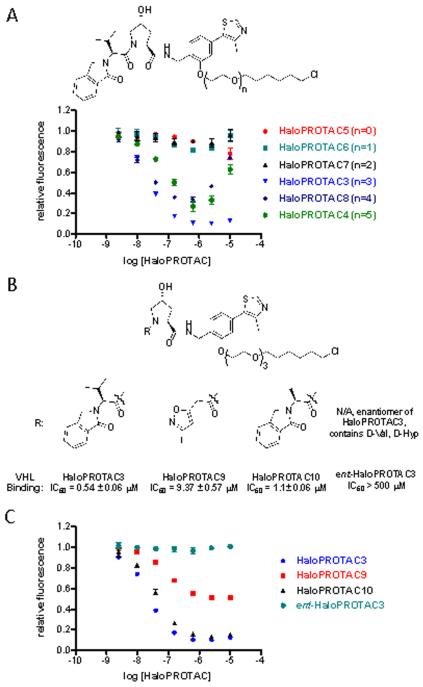 Protein degrader 1 TFA  