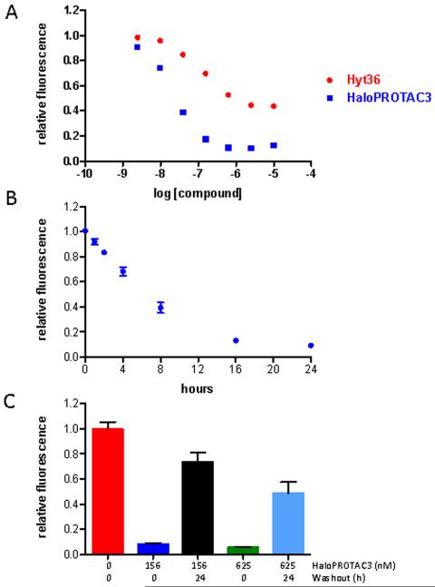 Protein degrader 1 TFA  