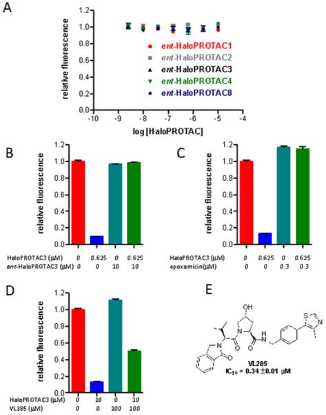 Protein degrader 1 hydrochloride  