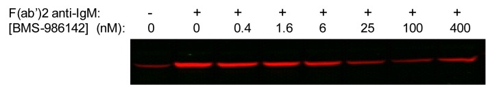 BMS-986142 