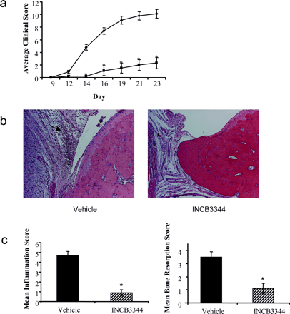 INCB3344 