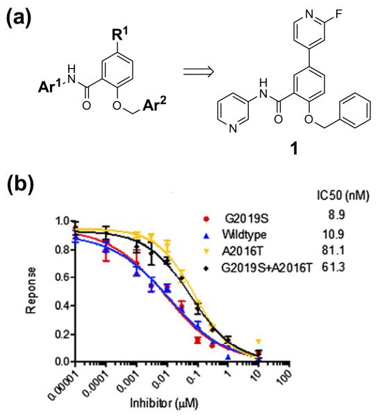 GSK2578215A