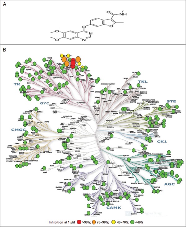 Fruquintinib