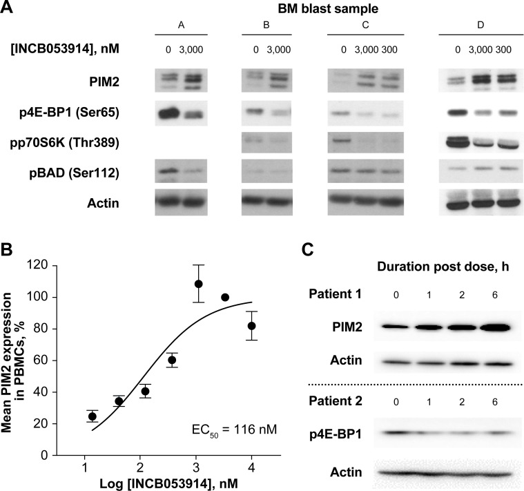 INCB053914