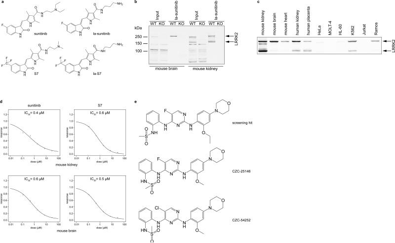 CZC-25146 HCl