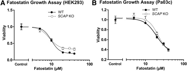 Fatostatin A 