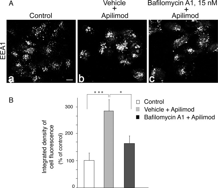 Apilimod mesylate