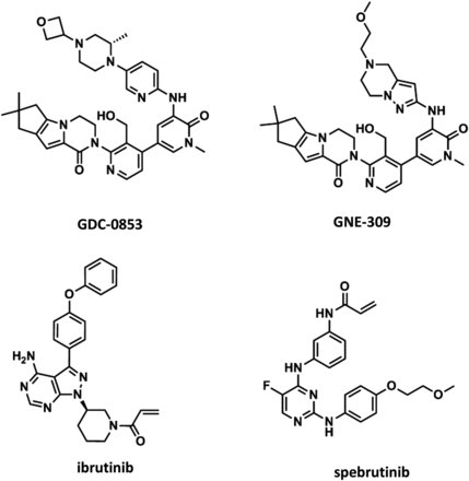 Fenebrutinib (GDC-0853) HCl