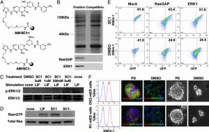 Pluripotin (SC1)