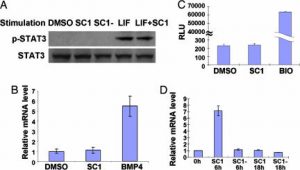 Pluripotin (SC1)