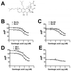 Gambogic Acid