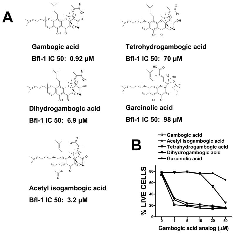 Gambogic Acid