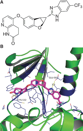 Lifirafenib (BGB-283)