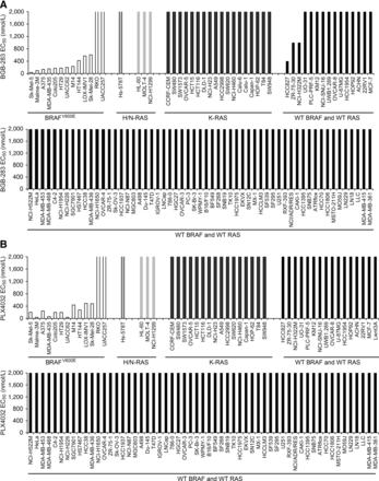 Lifirafenib (BGB-283)