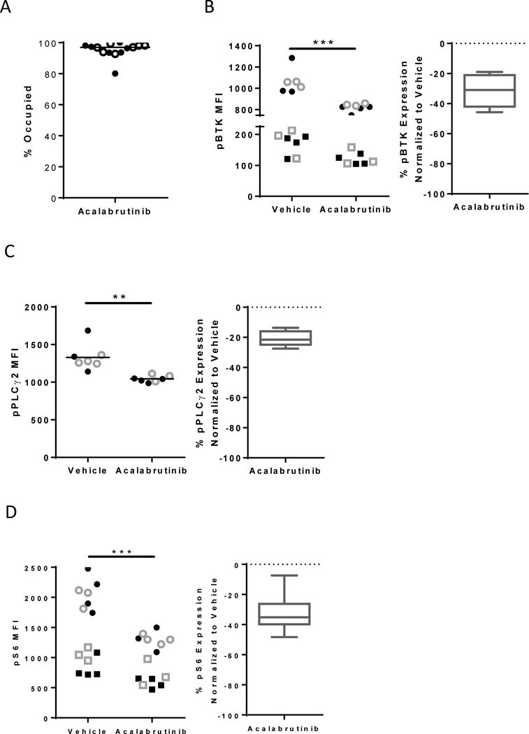 Acalabrutinib (ACP-196)