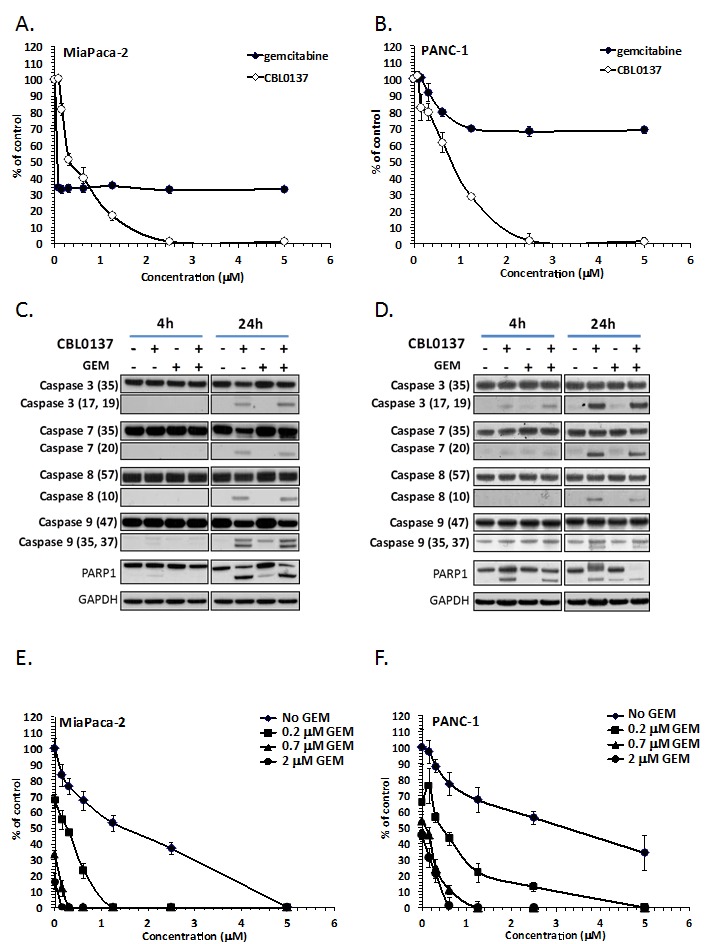 CBL0137 HCl