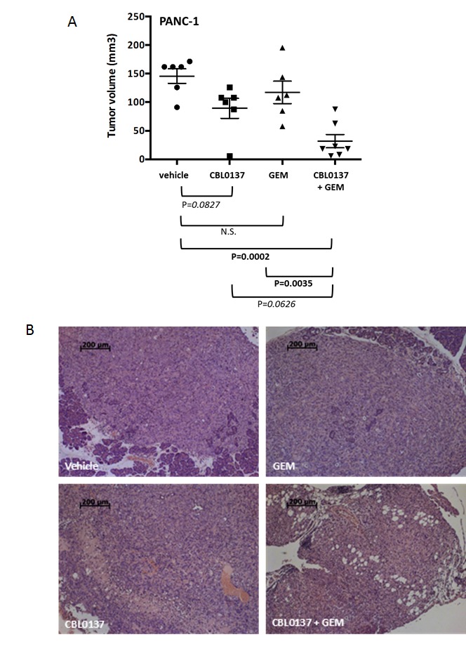 CBL0137 HCl