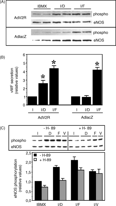 Desmopressin