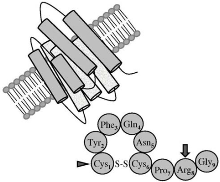 Desmopressin acetate