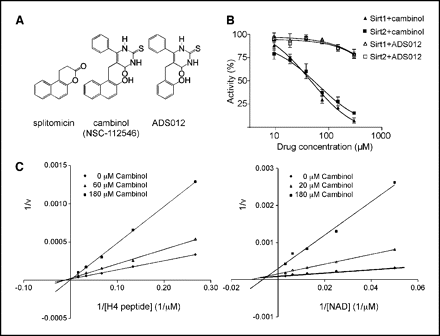 Cambinol