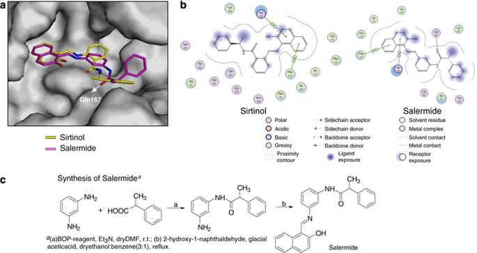 Salermide