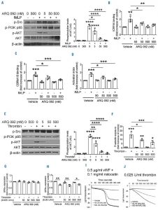 Miransertib HCl