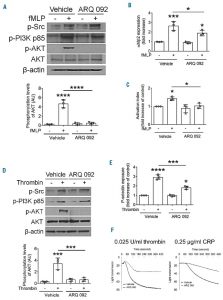 Miransertib HCl