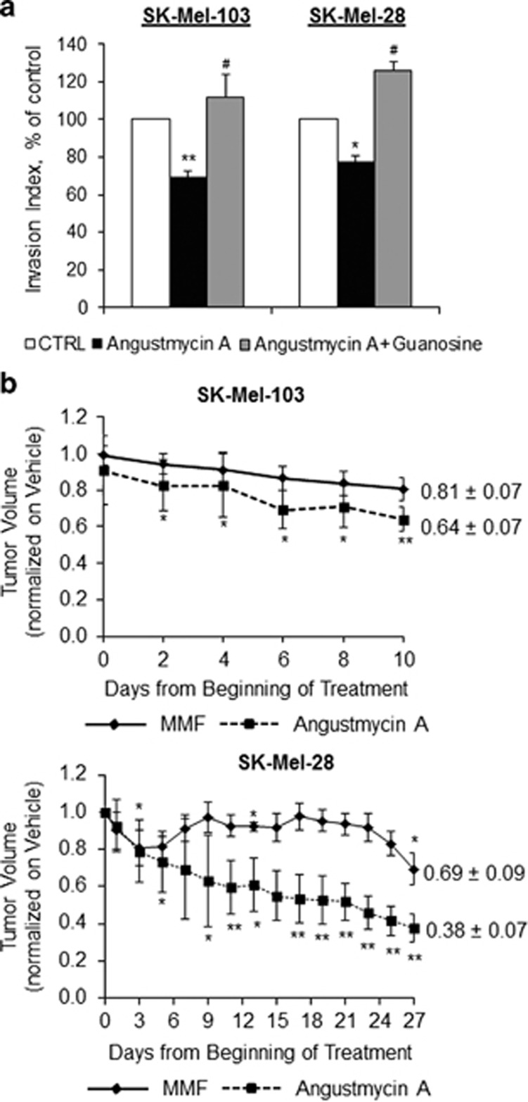 Decoyinine