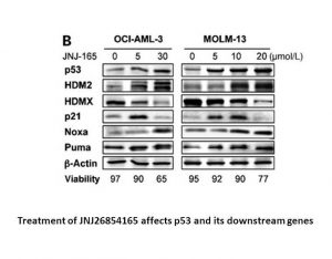 JNJ-26854165 (Serdemetan)