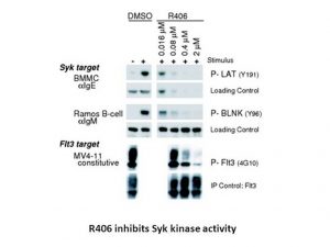 Tamatinib besylate