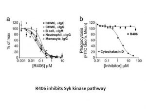 Tamatinib besylate